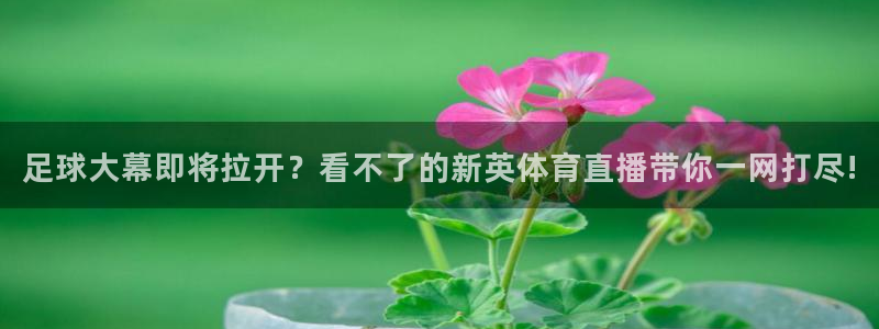 熊猫体育直播下载：足球大幕即将拉开？看不了的新英体育直播带你一网打尽!