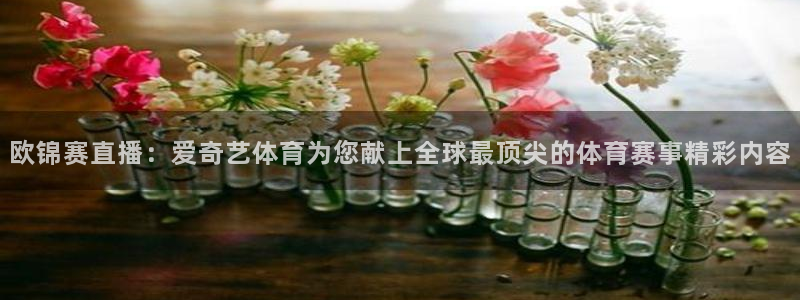 下载熊猫体育直播：欧锦赛直播：爱奇艺体育为您献上全球最顶尖的体育赛事精彩内容