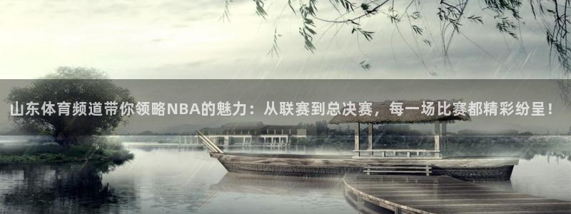 熊猫直播下载安装官方下载：山东体育频道带你领略NBA的魅力：从联赛到总决赛，每一场比赛都精彩纷呈！