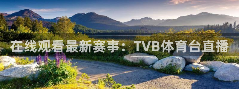 熊猫体育平台官网：在线观看最新赛事：TVB体育台直播