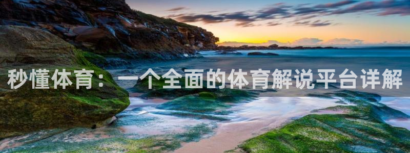 熊猫熊猫：秒懂体育：一个全面的体育解说平台详解