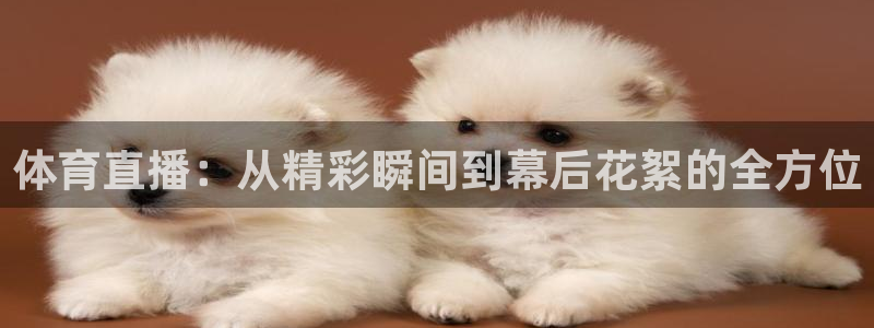 熊猫跳舞视频：体育直播：从精彩瞬间到幕后花絮的全方位