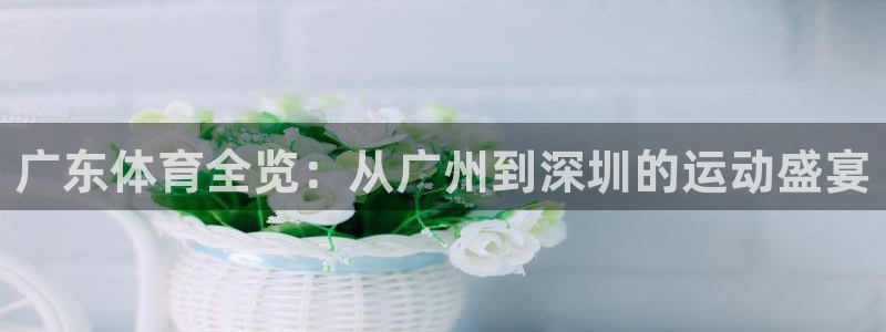 熊猫频道：广东体育全览：从广州到深圳的运动盛宴