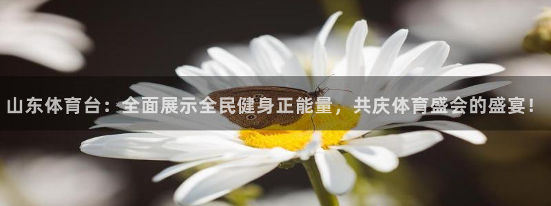 熊猫直播app：山东体育台：全面展示全民健身正能量，共庆体育盛会的盛宴！