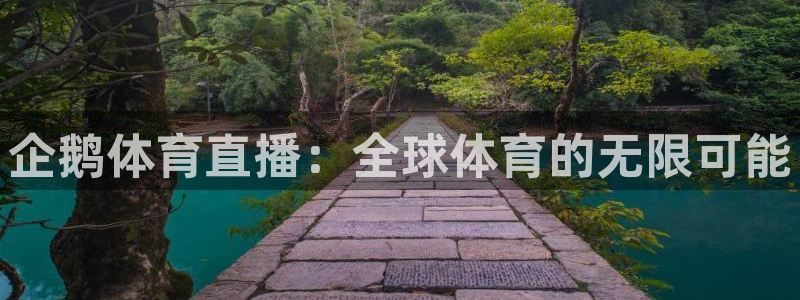熊猫视频搞笑：企鹅体育直播：全球体育的无限可能