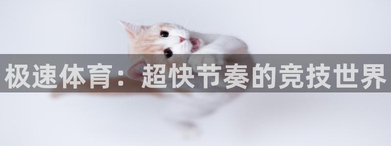 熊猫健身：极速体育：超快节奏的竞技世界