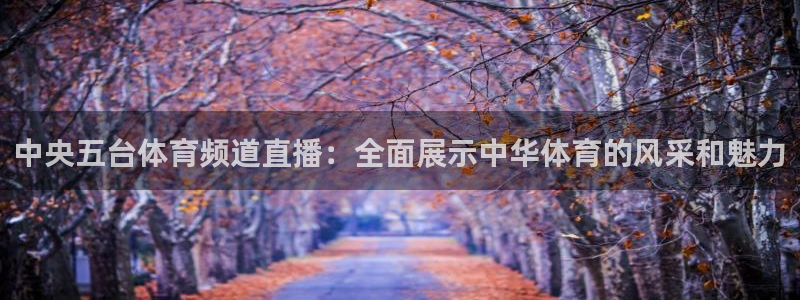 下载熊猫体育：中央五台体育频道直播：全面展示中华体育的风采和魅力