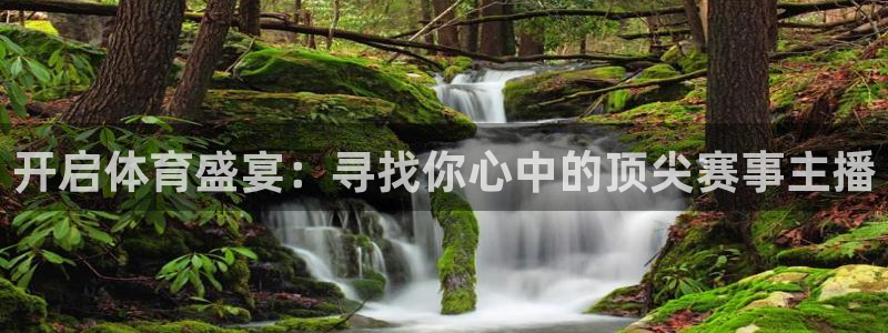 熊猫体育直播app：开启体育盛宴：寻找你心中的顶尖赛事主播